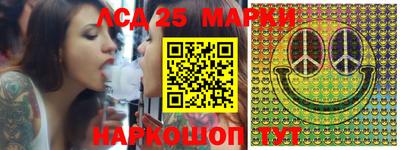 СК Можга