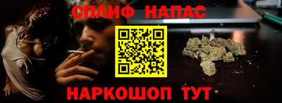 СК Можга